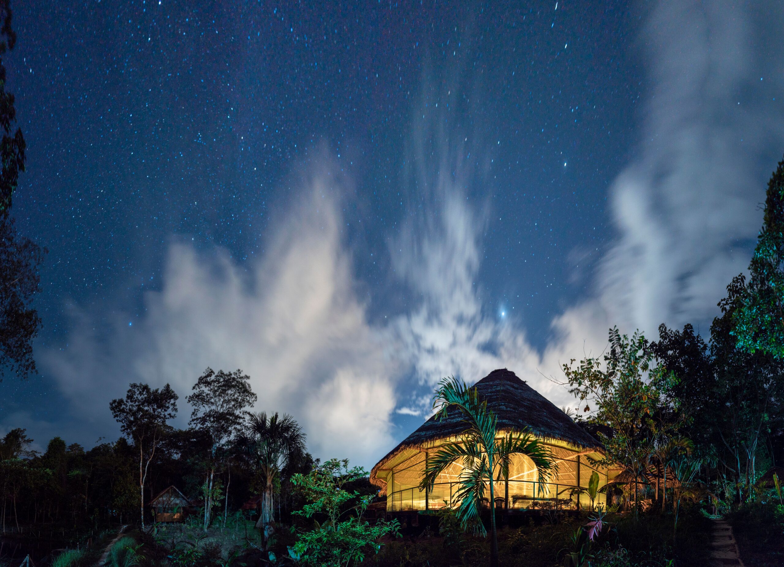 What It’s Really Like to Join an Ayahuasca Retreat Alongside Spiritual Experts