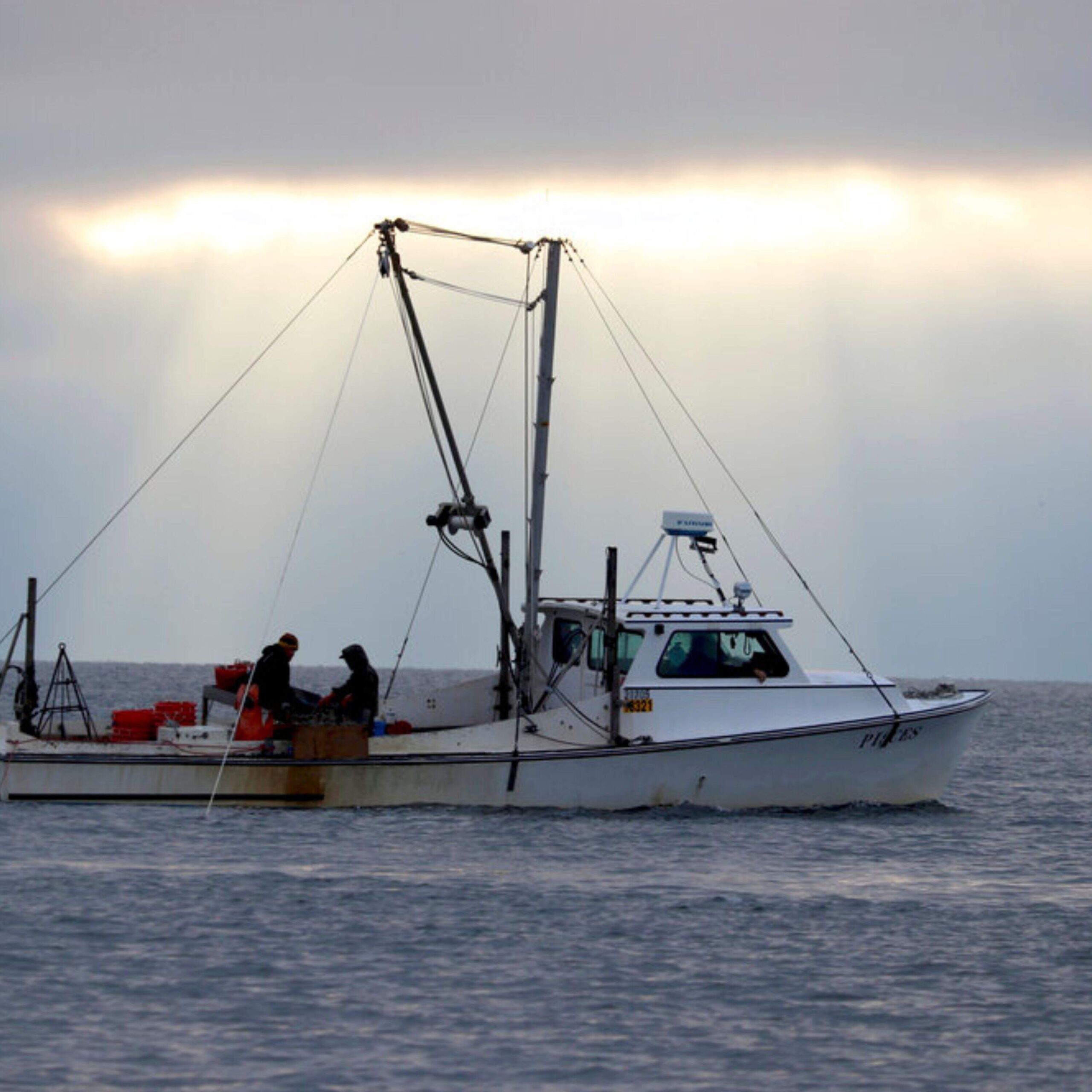 Will a historic sewage spill undo the Chesapeake Bay’s restoration?