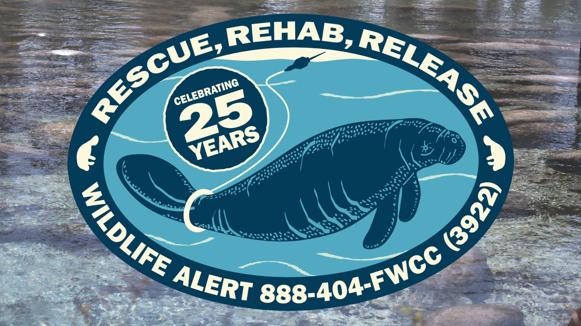 New Florida manatee, sea turtle decals support wildlife conservation efforts