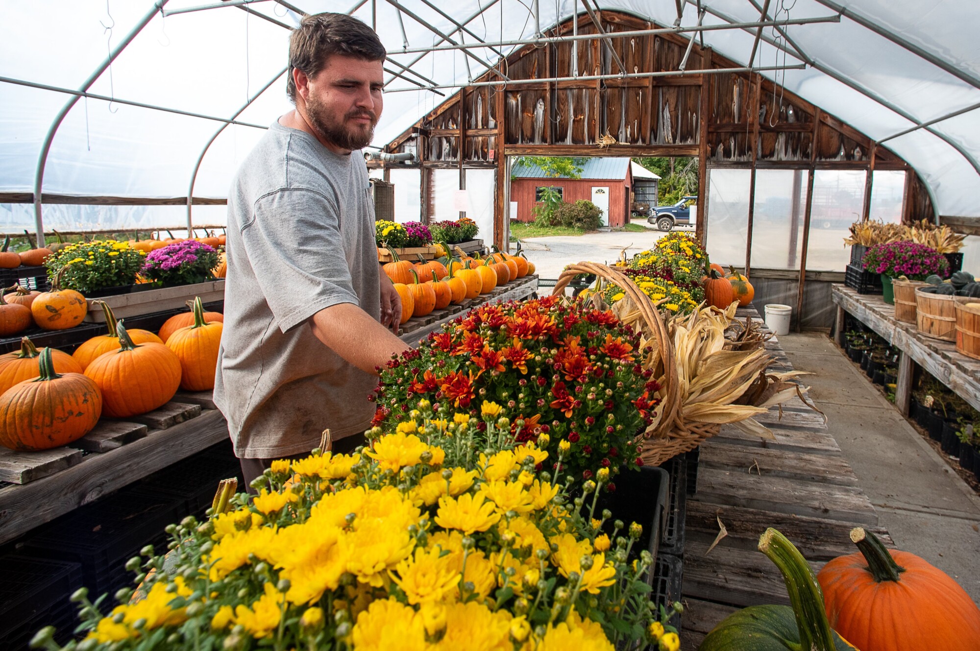 A western Maine guide to farm stands and shops
