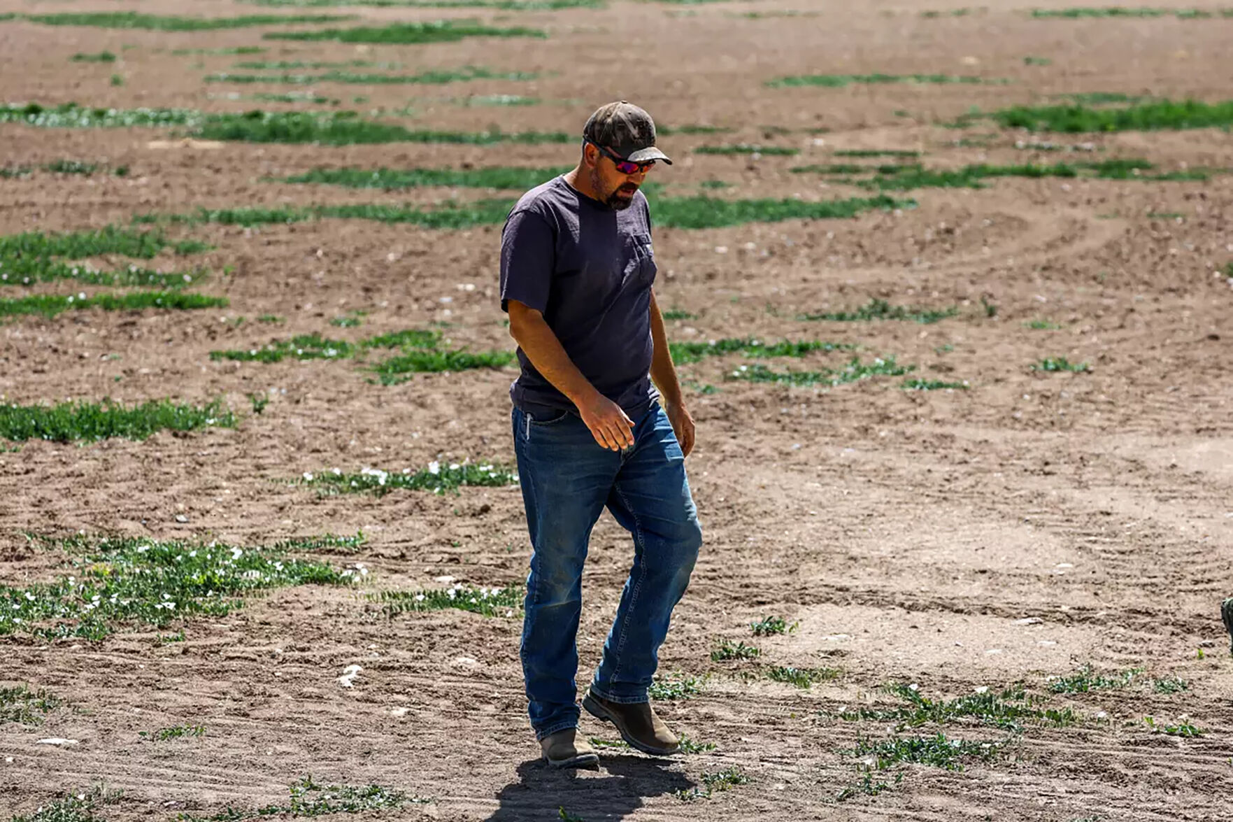 ‘This is terrifying’: The Colorado River, a lifeline for seven states, is drying up at its source