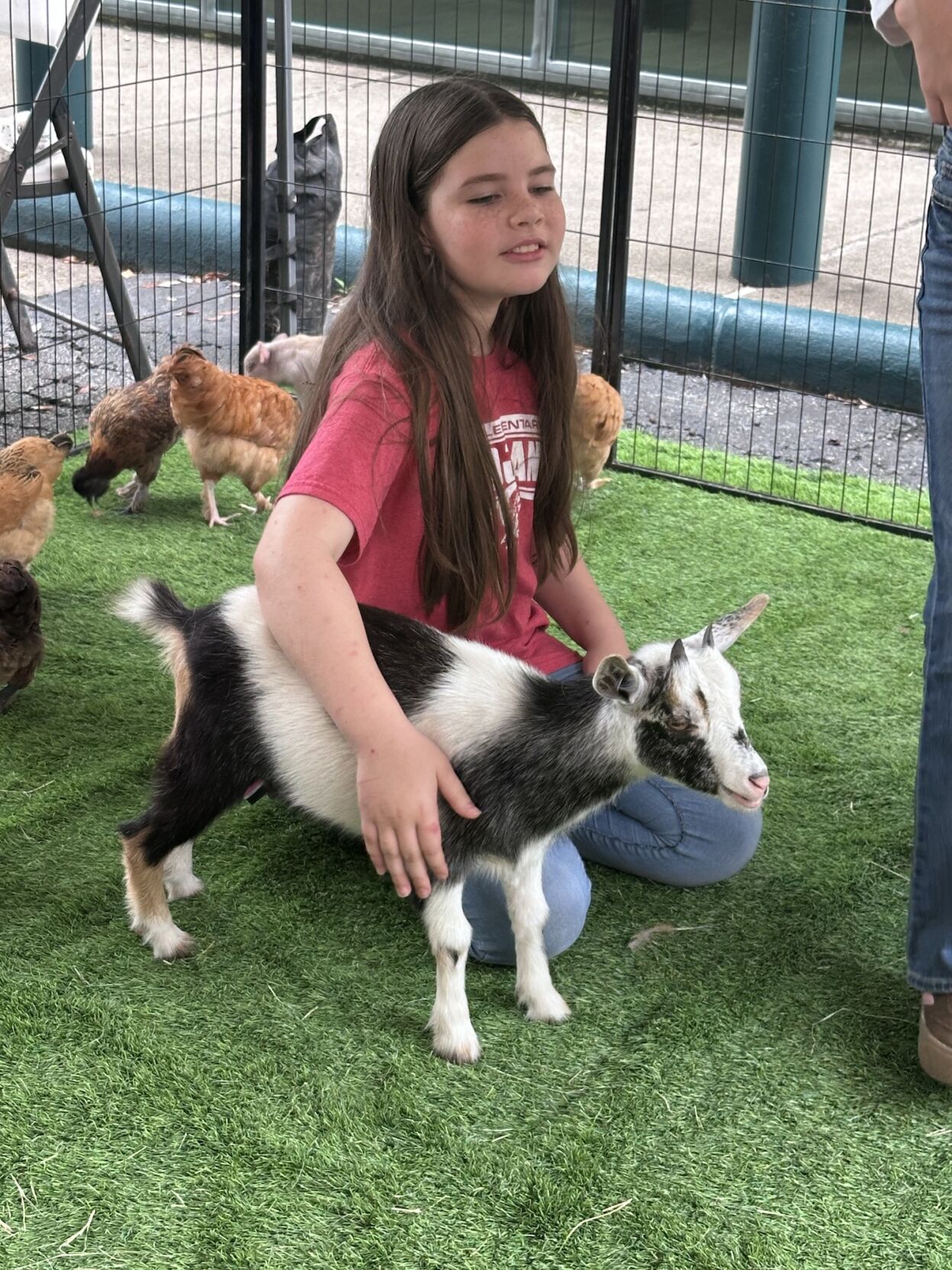 Mimi’s Mini Farm Mobile Petting Zoo visits Bee County library