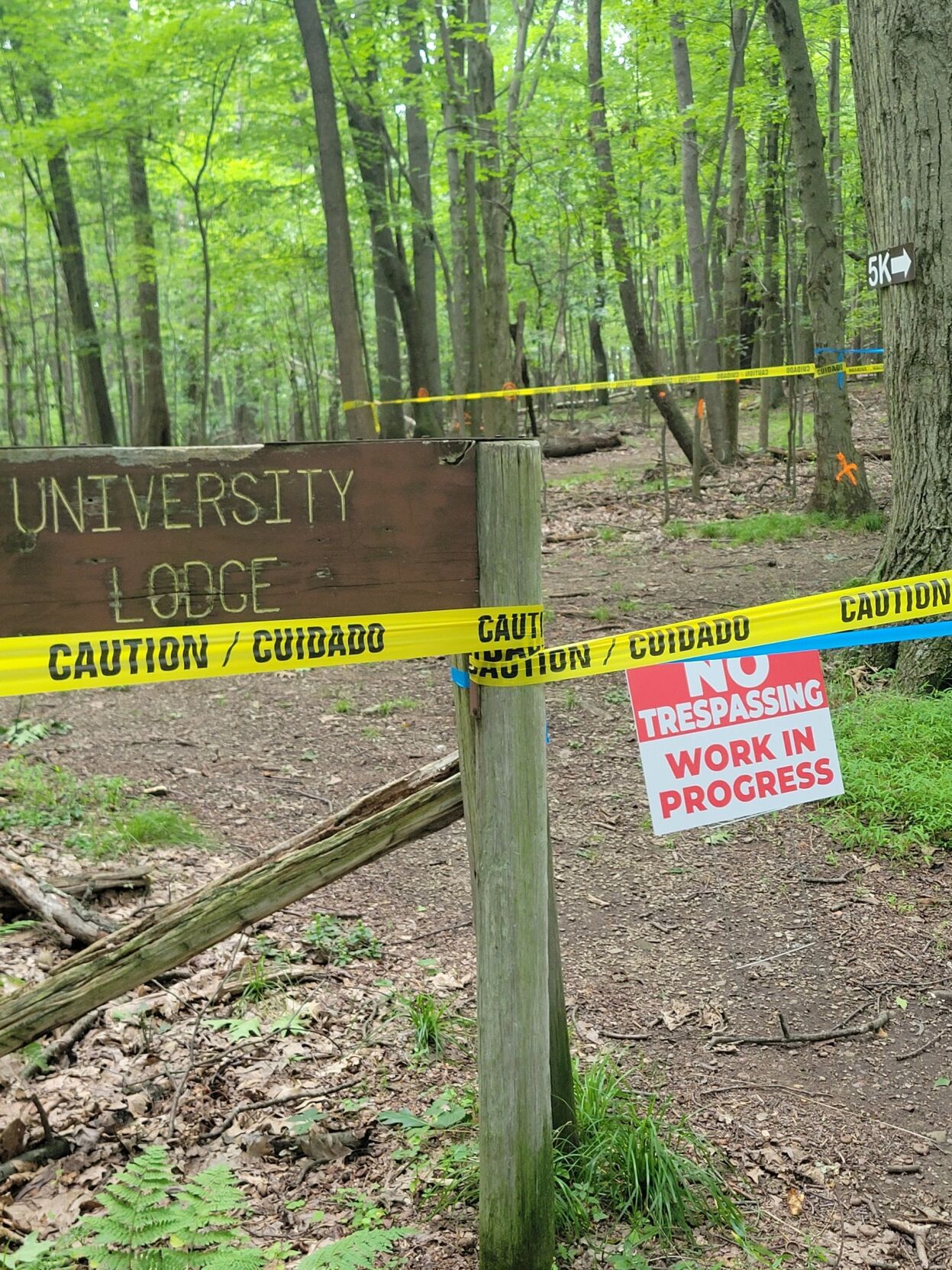 Residents express concerns regarding IUP CO-OP’s park maintenance plan