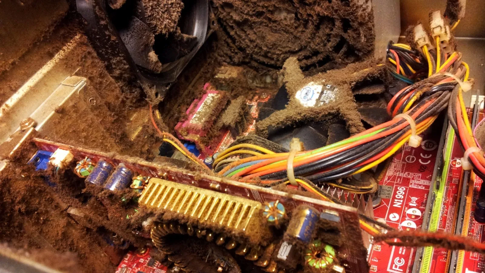 Please stop me from using a leaf blower to clean my PC