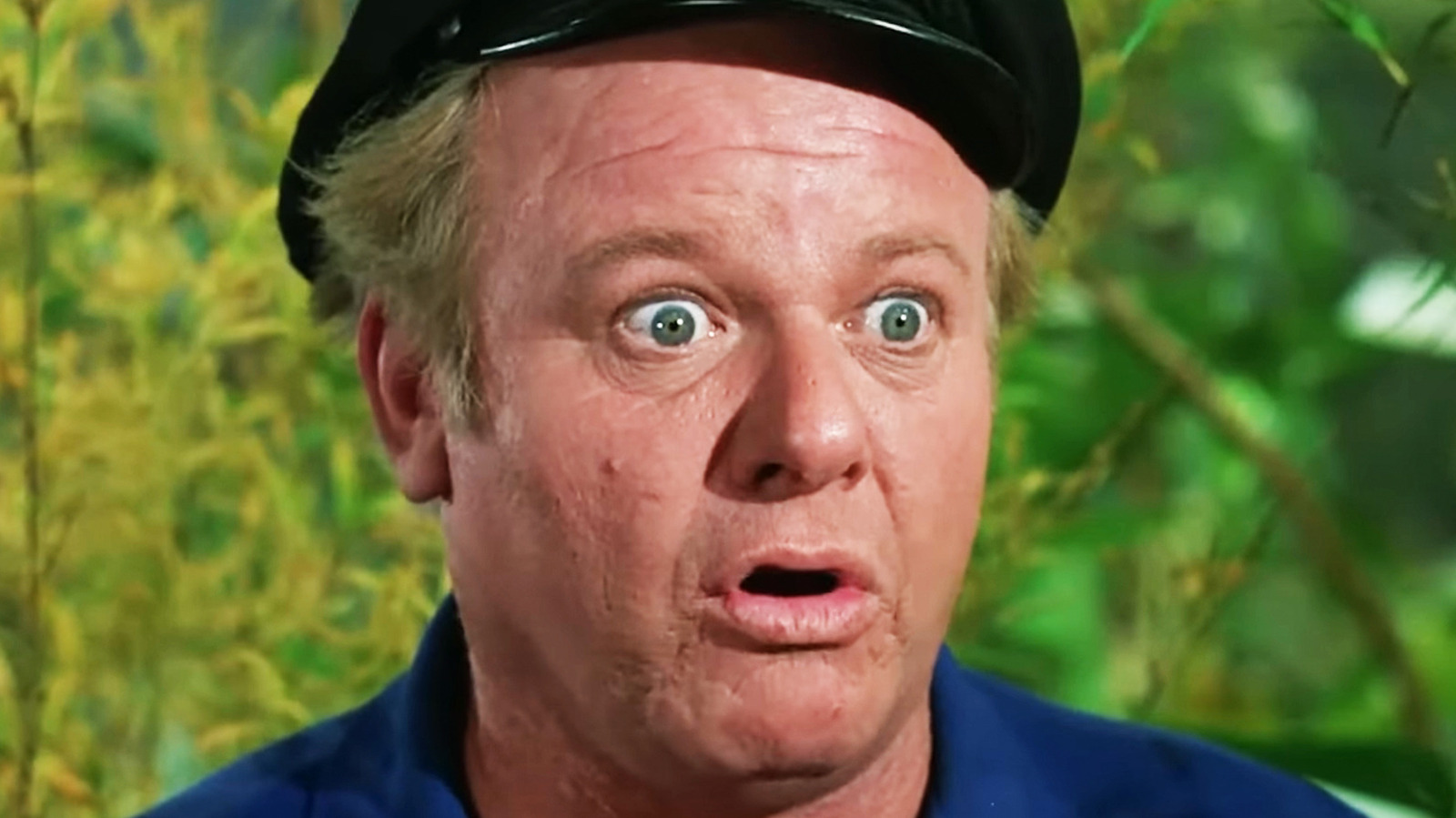 5 Best Alan Hale Jr. Movies & TV Shows, Ranked