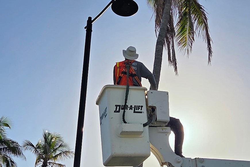 Longboat updates lighting over turtle concerns