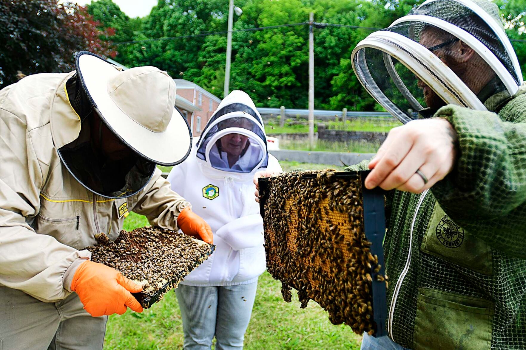 Beckley Honey Festival sweetens Saturday