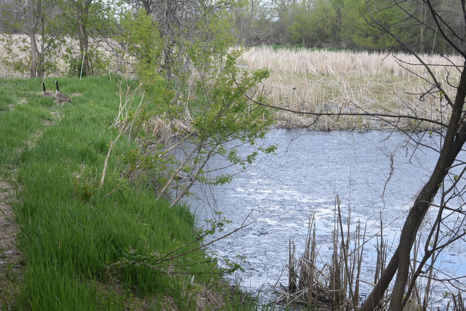 City, County plan to address drainage issues around Gaiter Lake