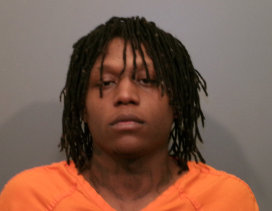 First round of witnesses testify in Rice murder retria