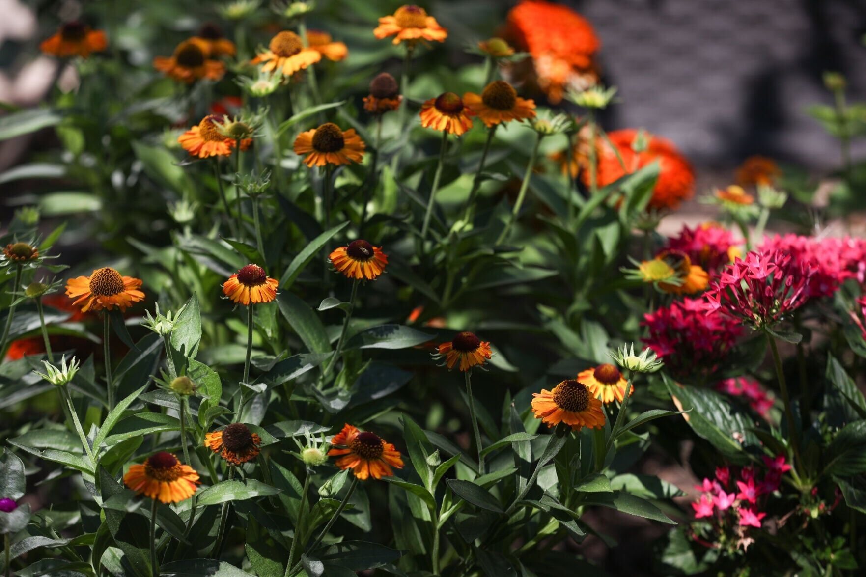 Despite Nebraska’s warm weather, it’s not too early to think about fall garden work