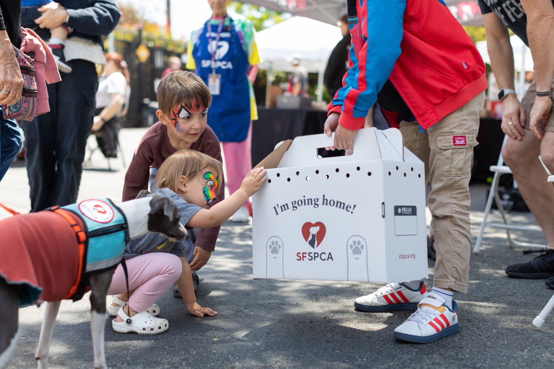 SF animal-welfare advocates raise awareness, drive August adoptions