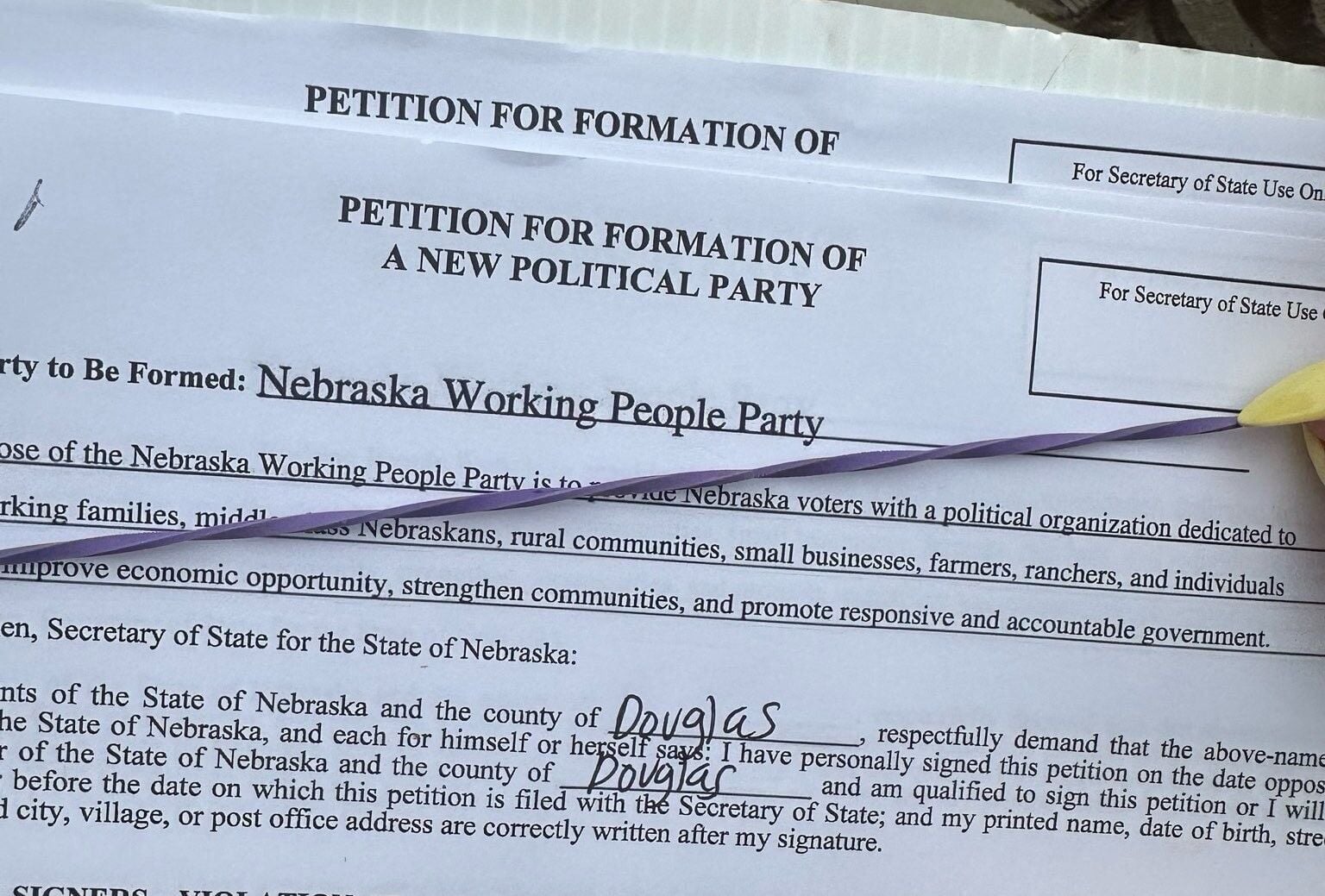 Judge rules against Republicans, Democrats in attempts to stop two new parties
