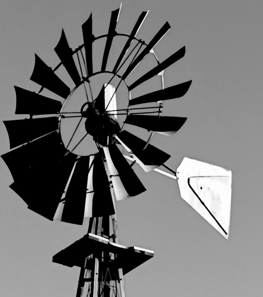 SOPHIENBURG: A Texas icon turns toward the past