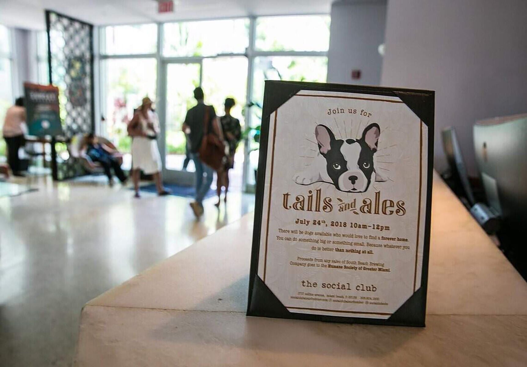 Miami luxury hotels have found their newest VIP — the pampered family dog