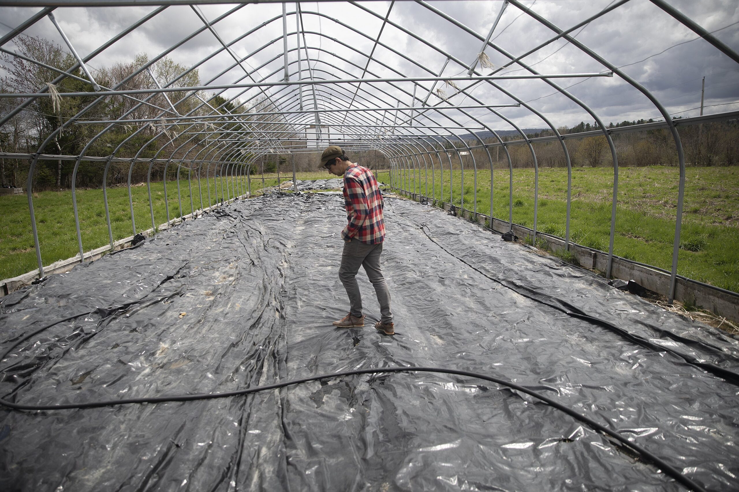 Maine adopts $600K mental health safety net for people affected by PFAS